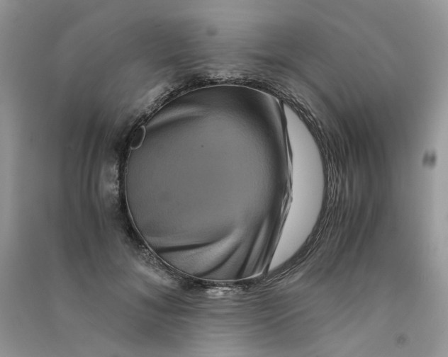 X0000090760700200708172048