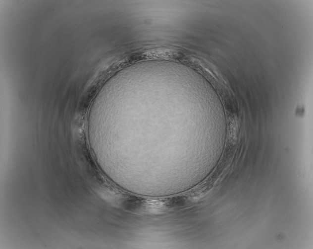 X0000090760701200708172048