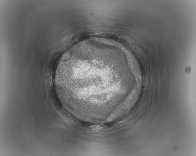 X0000090760703200708172048