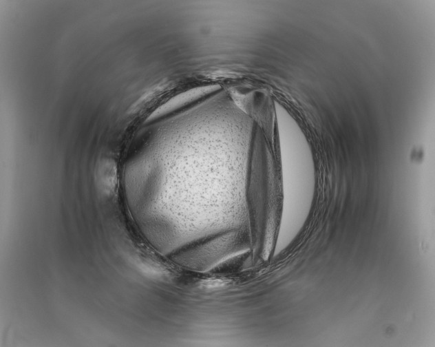 X0000090760704200708172048