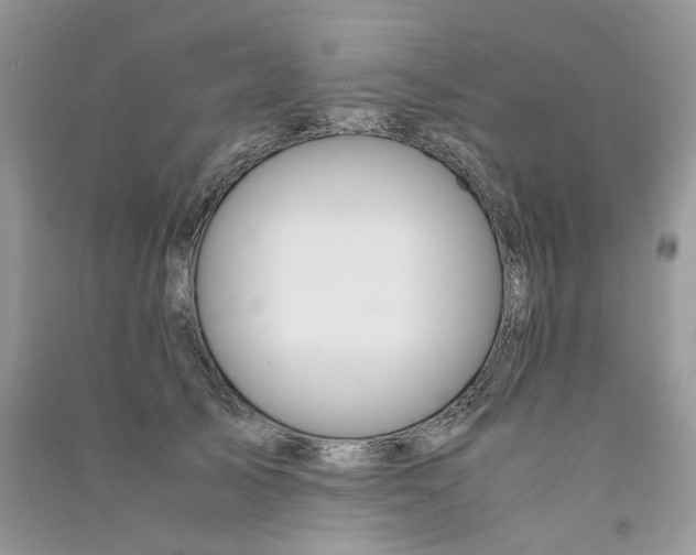 X0000090760705200708172048