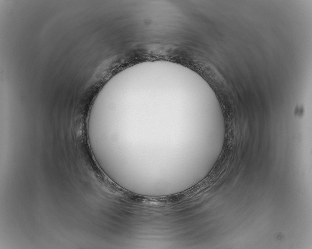 X0000090760706200708172048