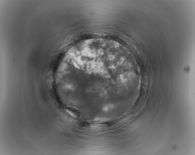 X0000090760707200708172048