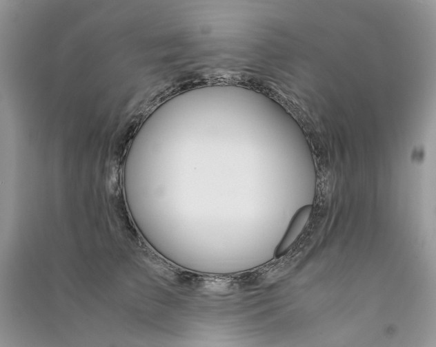 X0000090760709200708172048