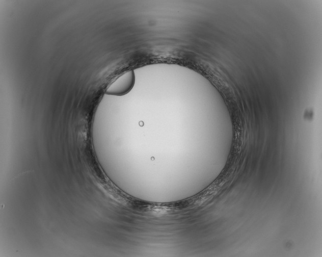 X0000090760710200708172048