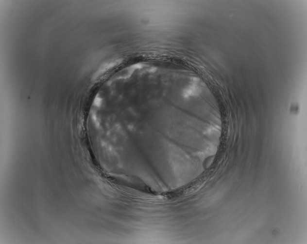 X0000090760711200708172048