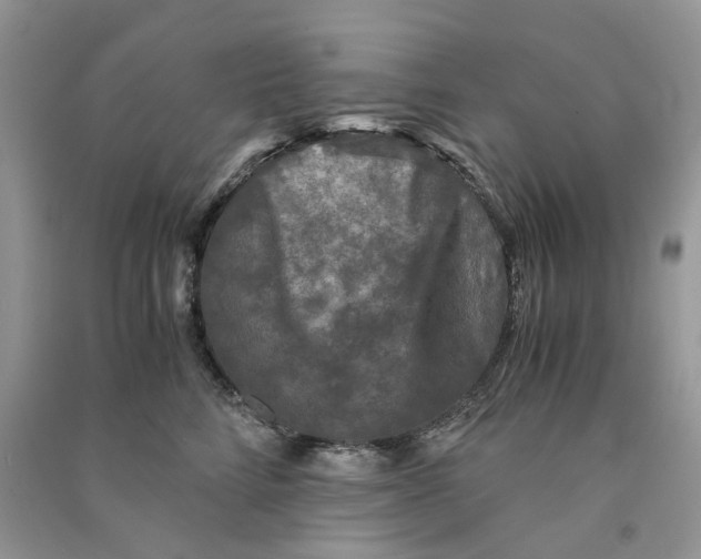 X0000090760712200708172048