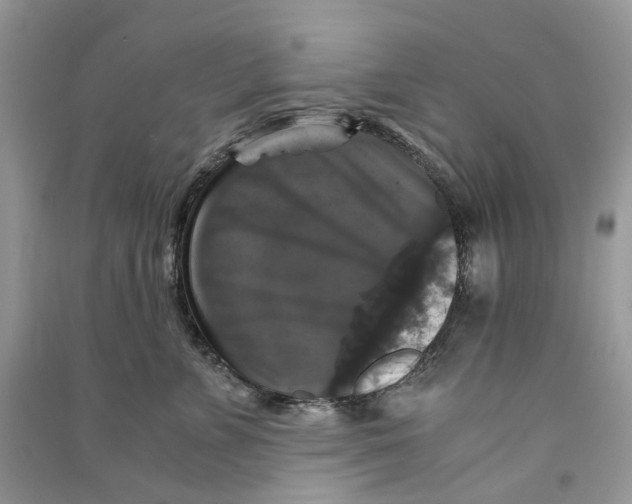 X0000090760715200708172048