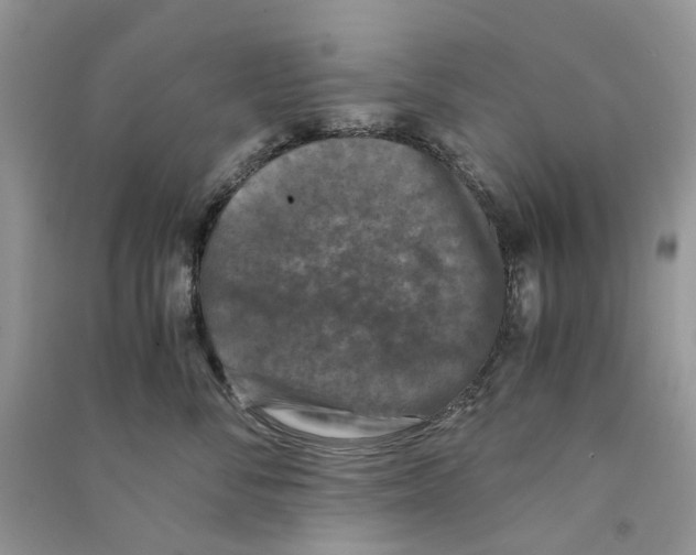 X0000090760716200708172048