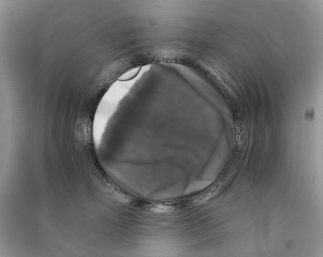 X0000090760718200708172048