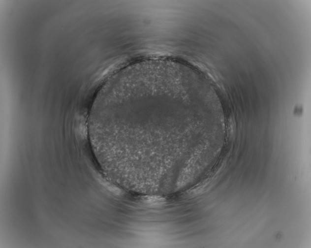 X0000090760719200708172047