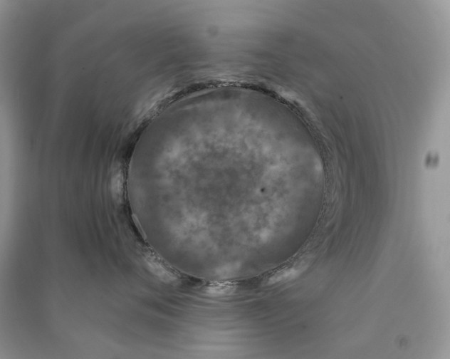 X0000090760720200708172047