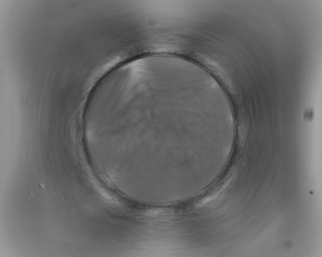 X0000090760721200708172047