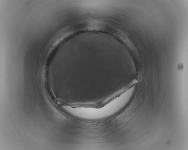 X0000090760722200708172047