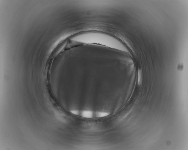 X0000090760723200708172047