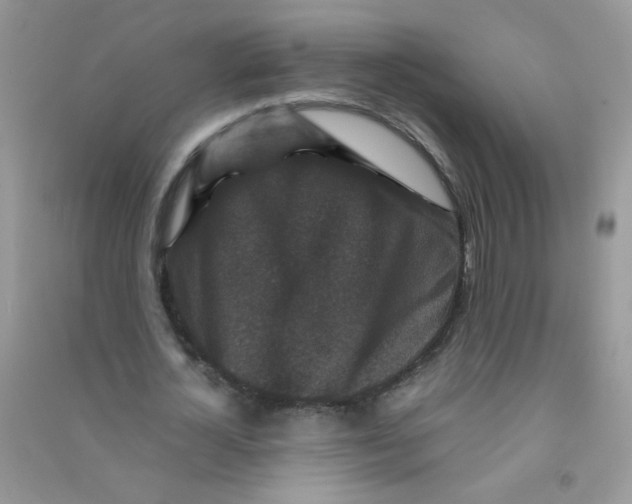 X0000090760724200708172047