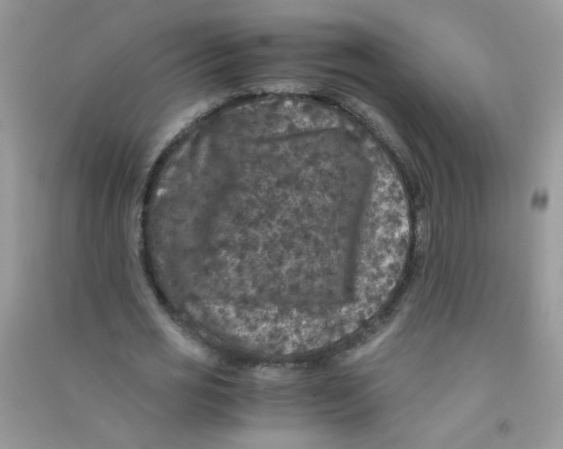 X0000090760725200708172047