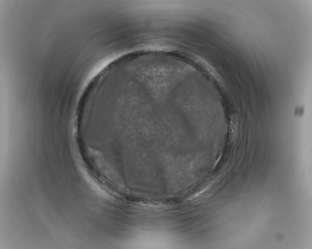 X0000090760726200708172047