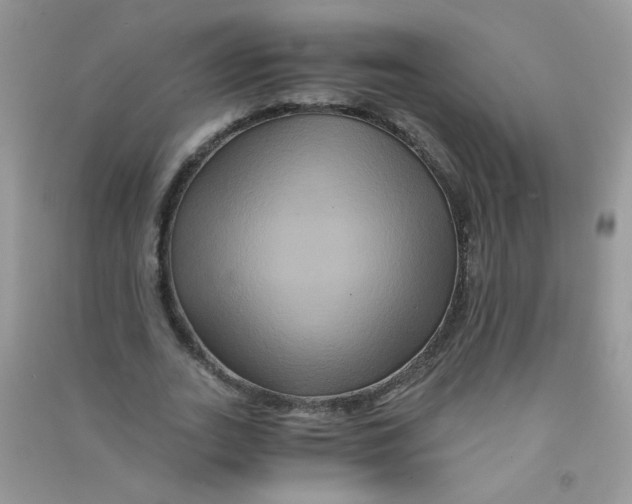 X0000090760727200708172047