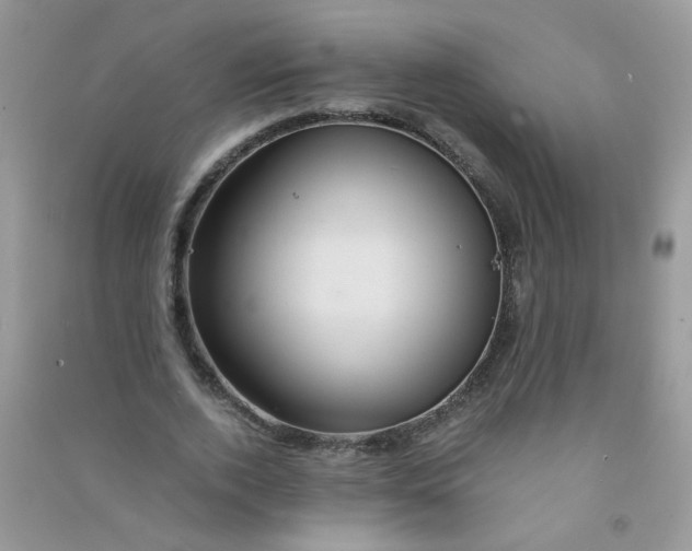 X0000090760728200708172047