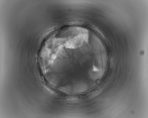 X0000090760729200708172047