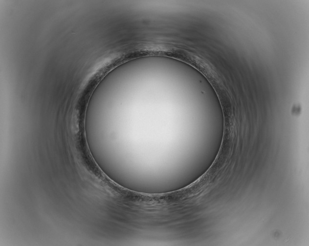 X0000090760731200708172047