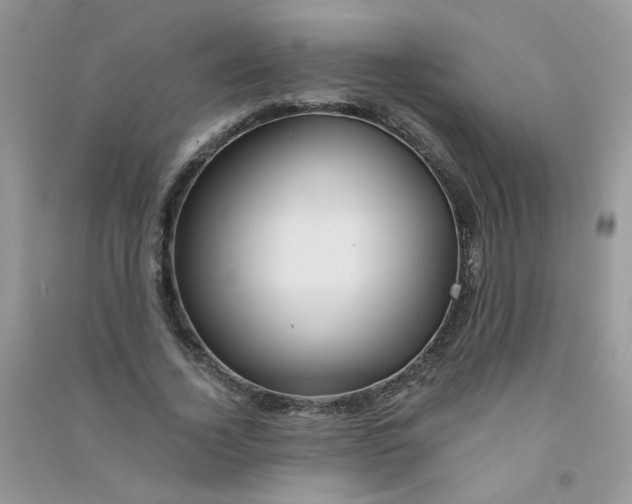 X0000090760732200708172047