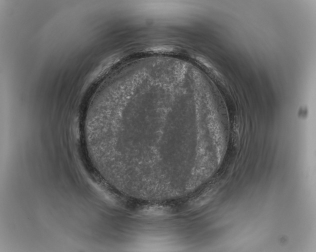 X0000090760734200708172047