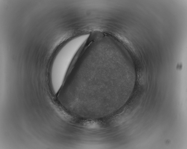 X0000090760735200708172047