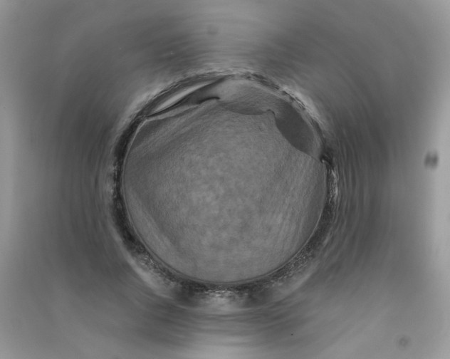 X0000090760736200708172047