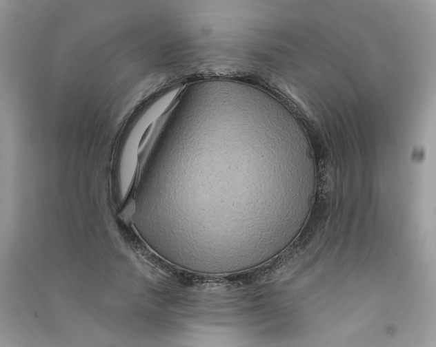 X0000090760738200708172047