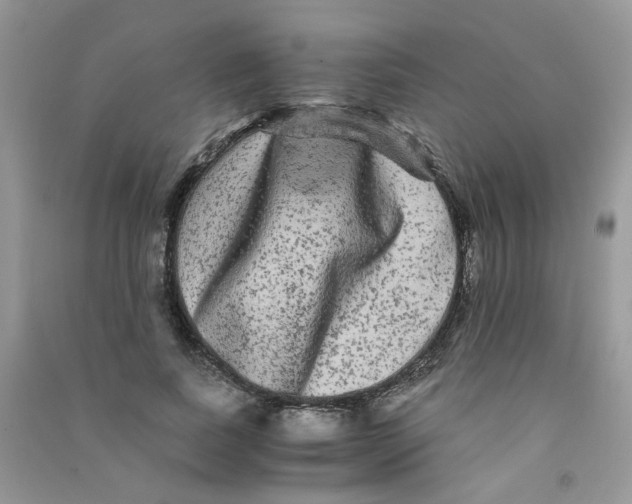 X0000090760739200708172047