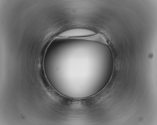 X0000090760740200708172047