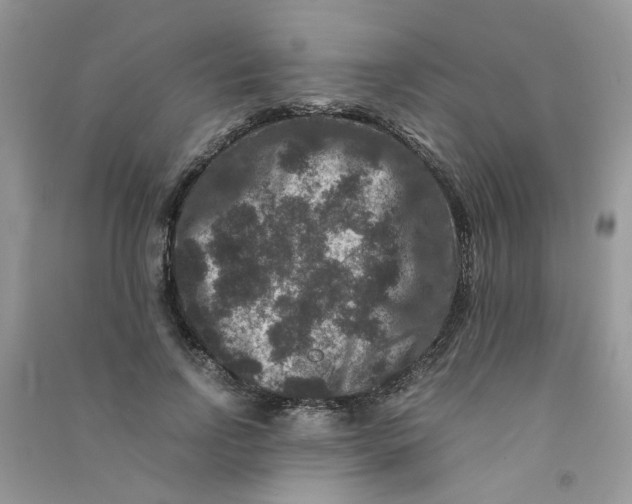 X0000090760742200708172047