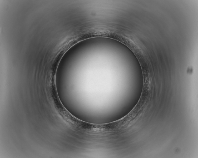 X0000090760744200708172047