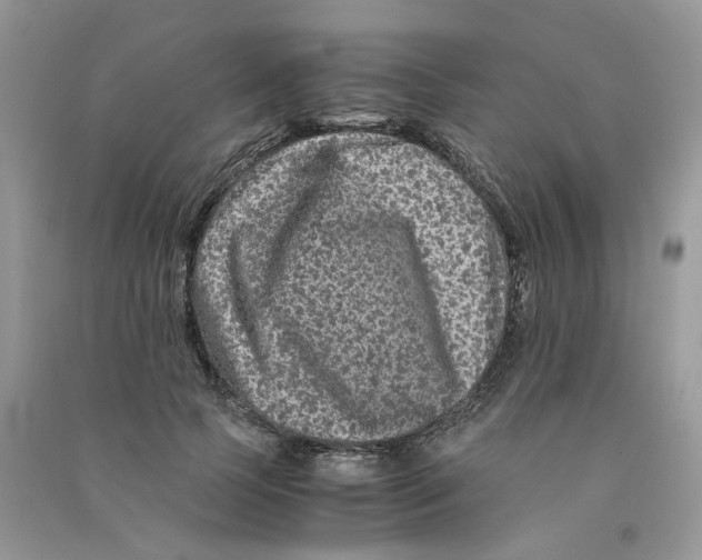 X0000090760745200708172047