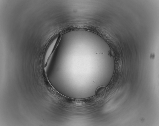 X0000090760746200708172047