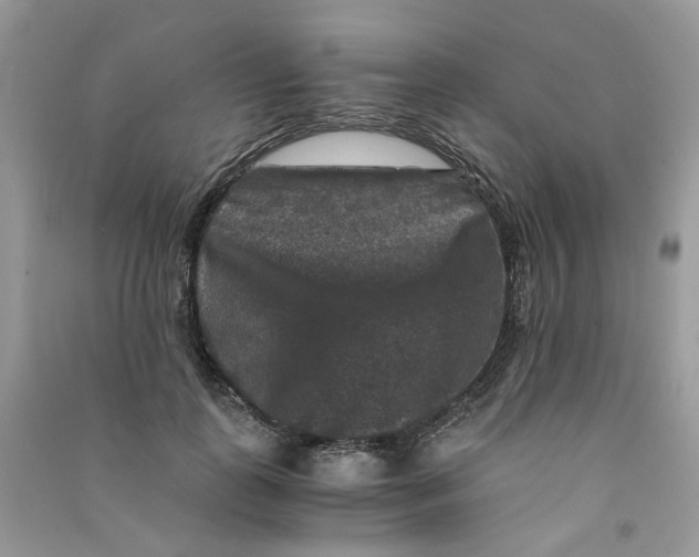 X0000090760747200708172047