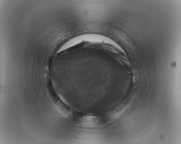 X0000090760748200708172047