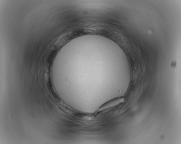 X0000090760749200708172047