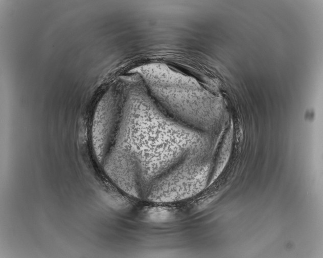 X0000090760751200708172047