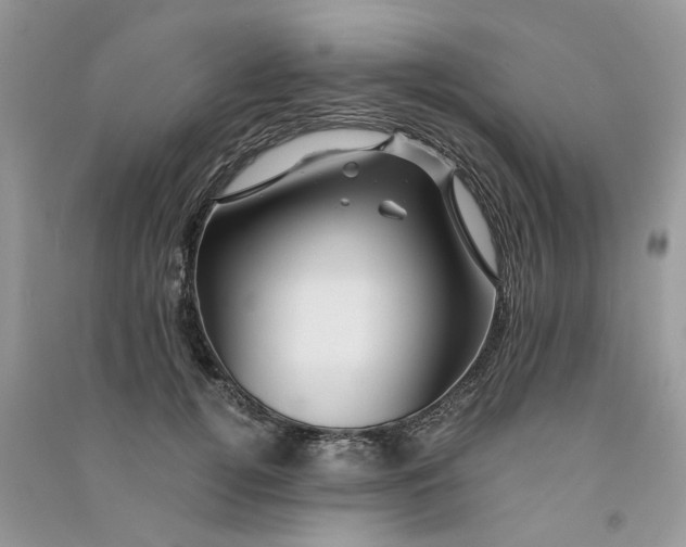 X0000090760752200708172047