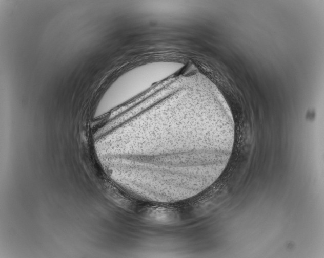 X0000090760755200708172047