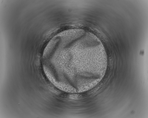 X0000090760757200708172047