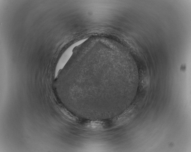 X0000090760758200708172047