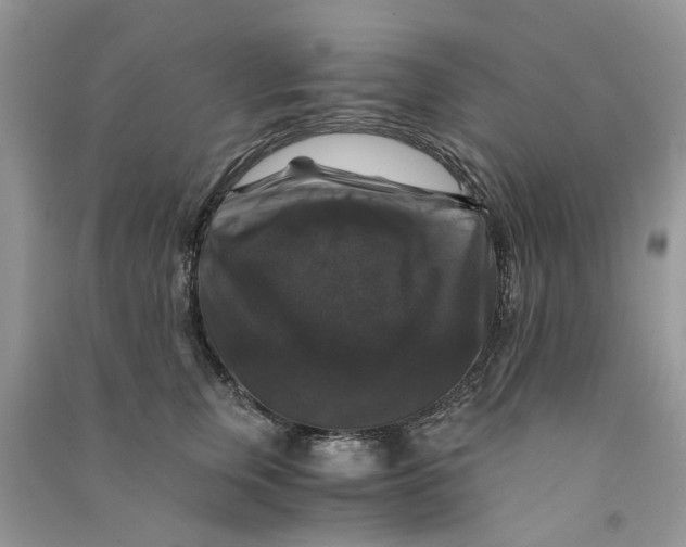 X0000090760759200708172047