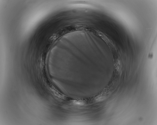 X0000090760763200708172047