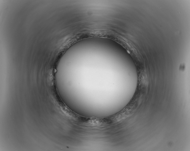 X0000090760764200708172047