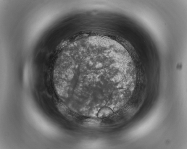 X0000090760765200708172047