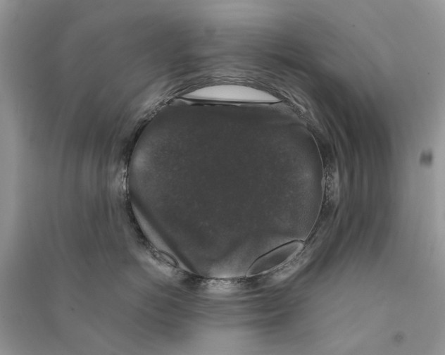 X0000090760766200708172047